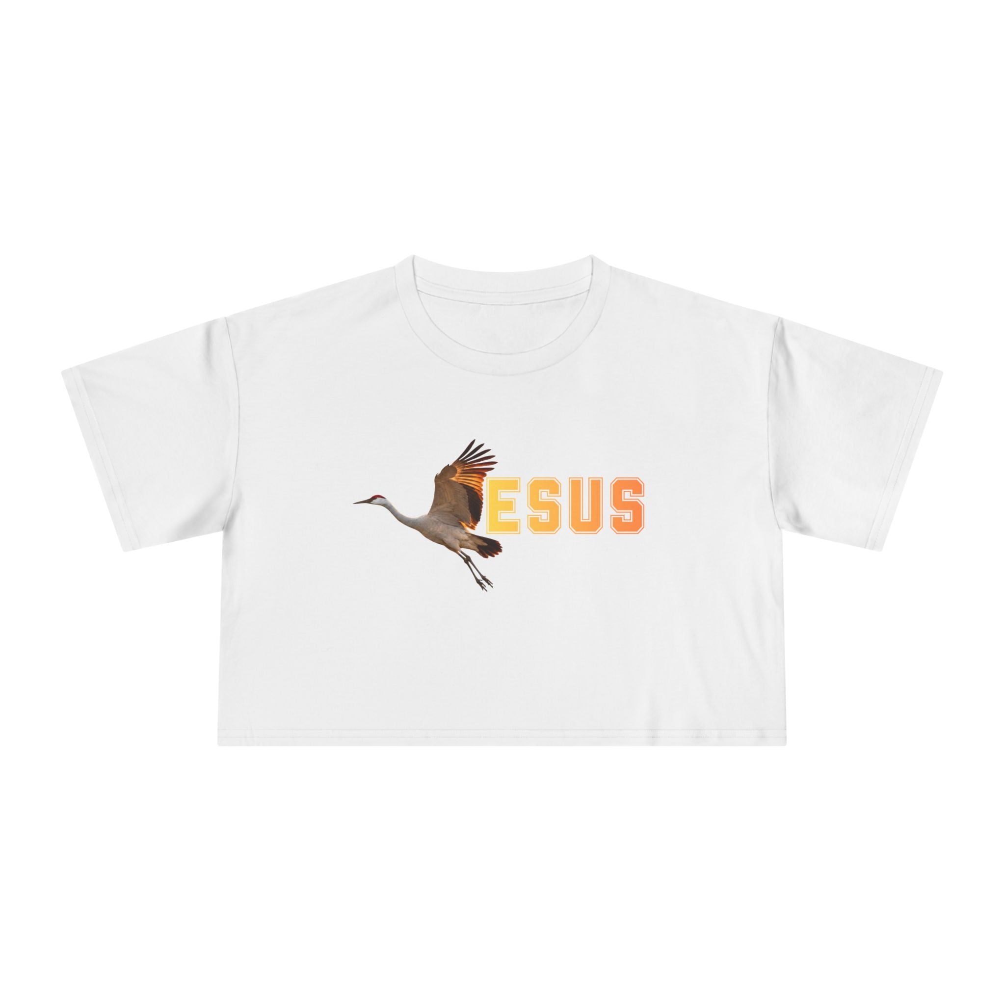 Jesus With Crane Bird, Women's Crop Tee