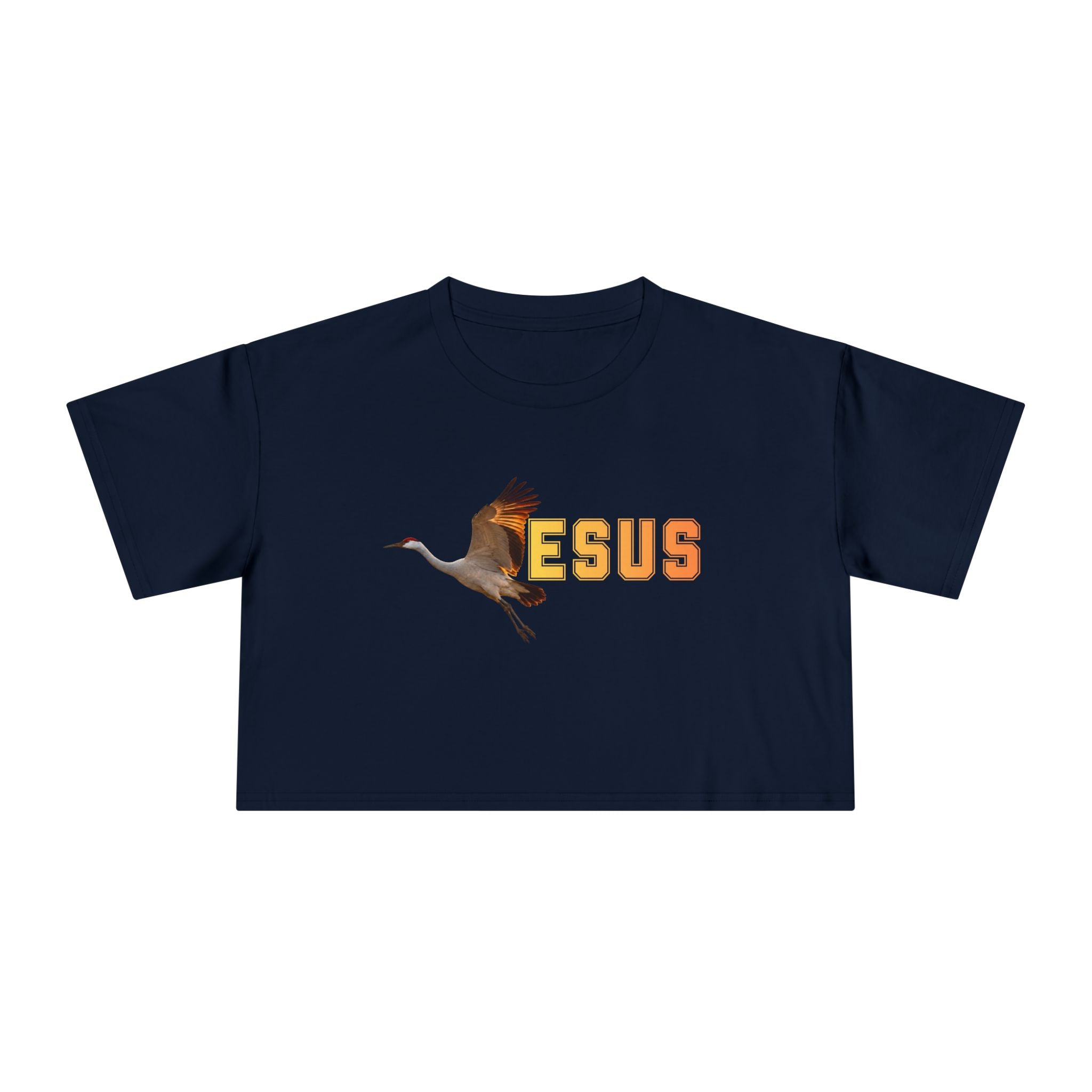 Jesus With Crane Bird, Women's Crop Tee