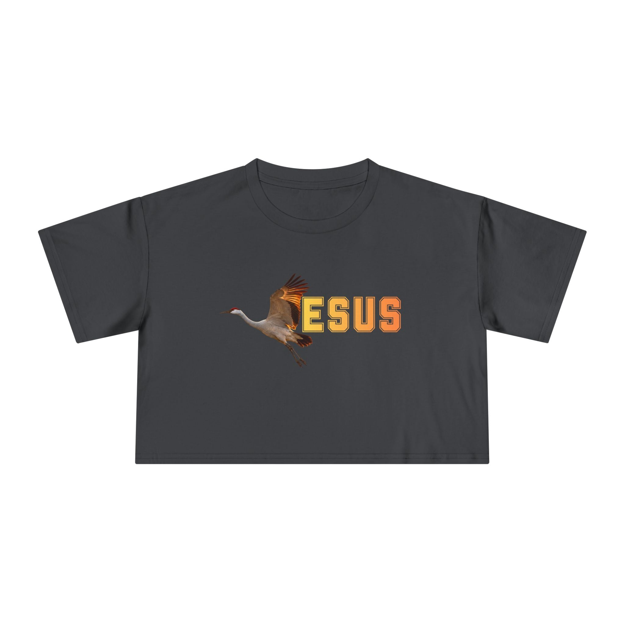 Jesus With Crane Bird, Women's Crop Tee
