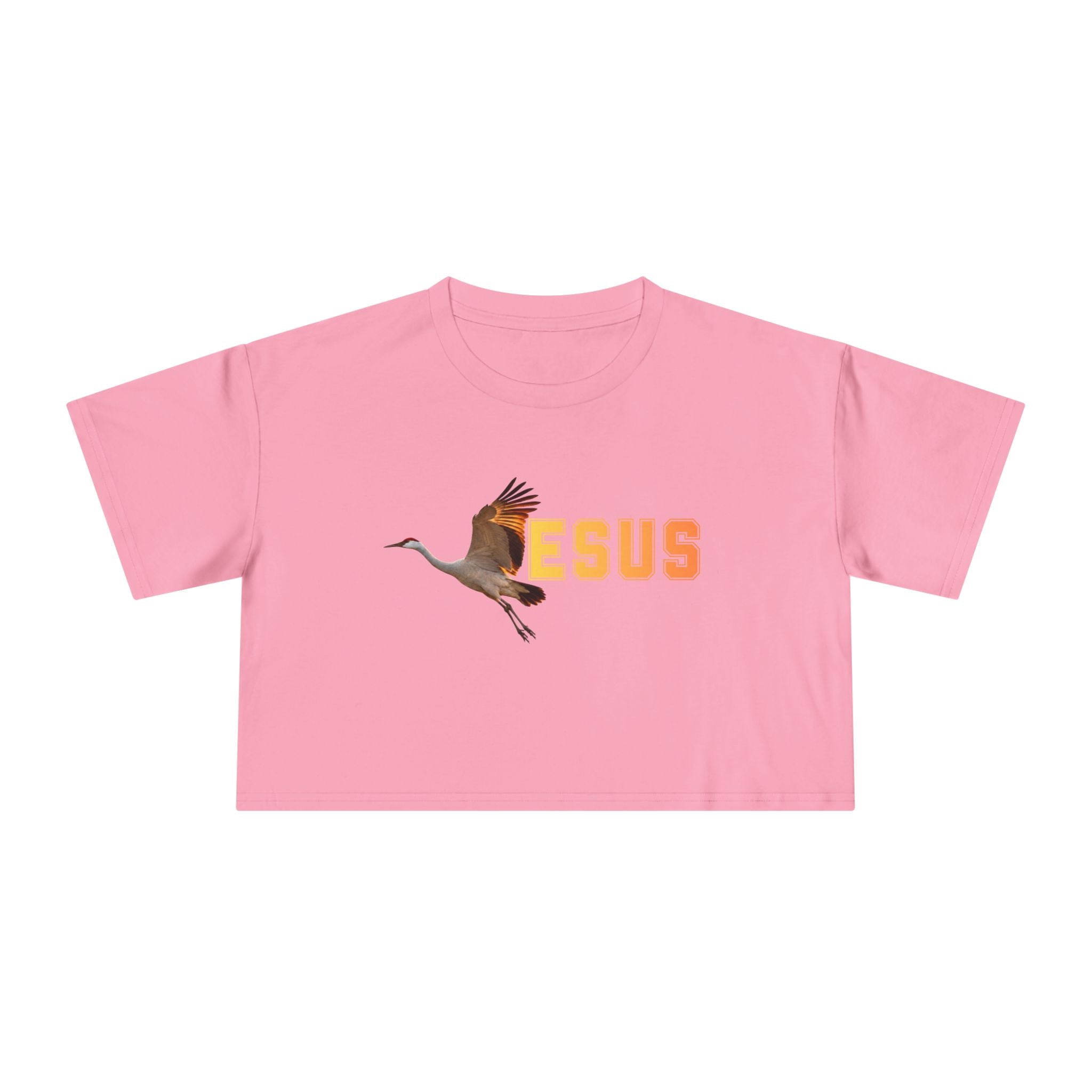 Jesus With Crane Bird, Women's Crop Tee