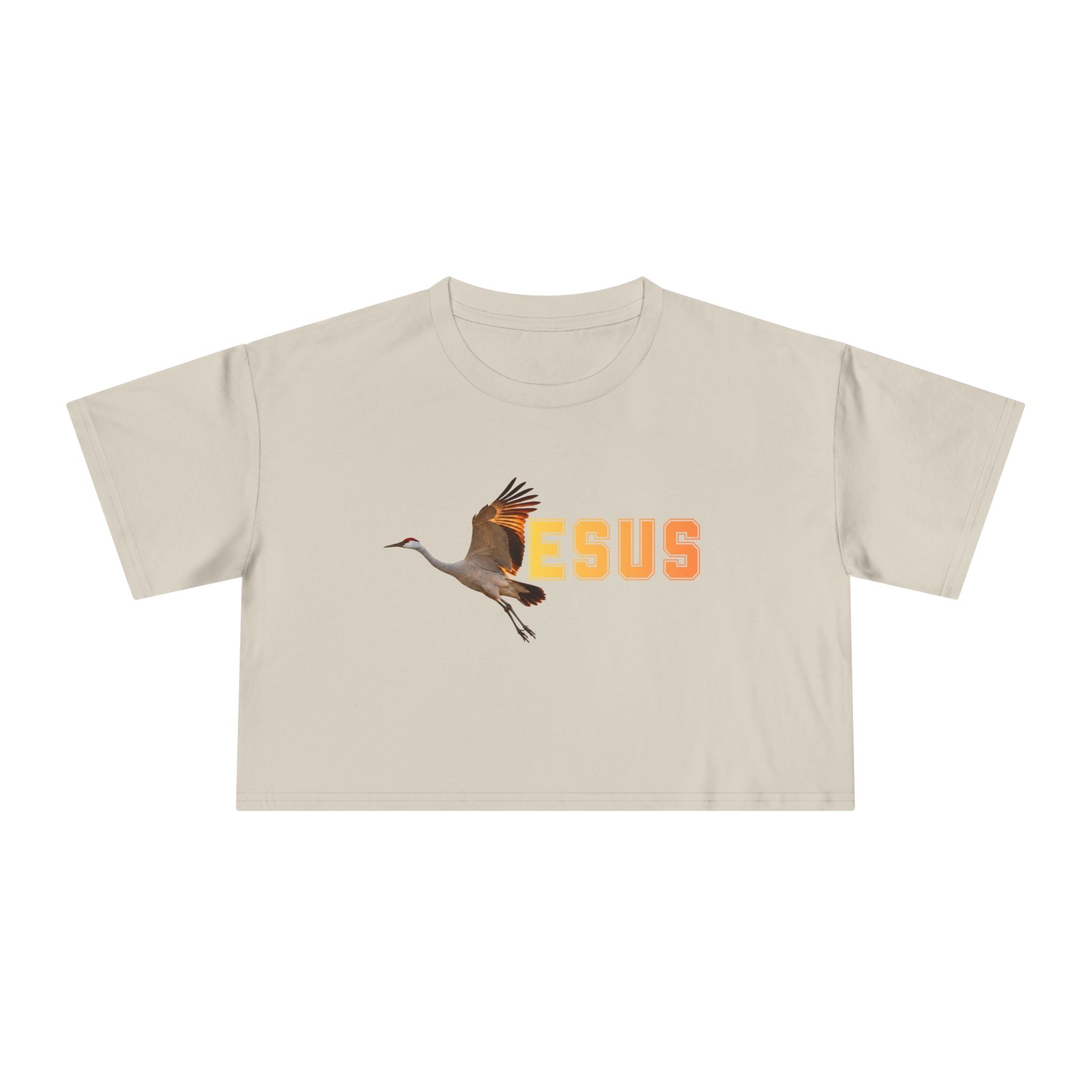 Jesus With Crane Bird, Women's Crop Tee