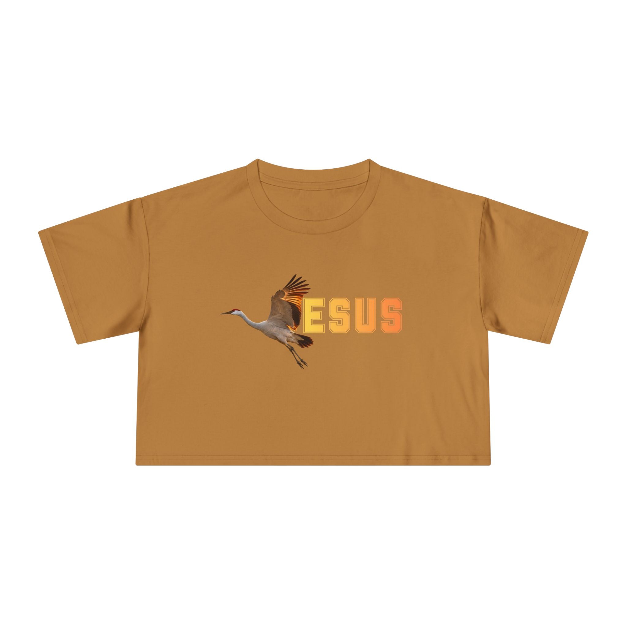Jesus With Crane Bird, Women's Crop Tee