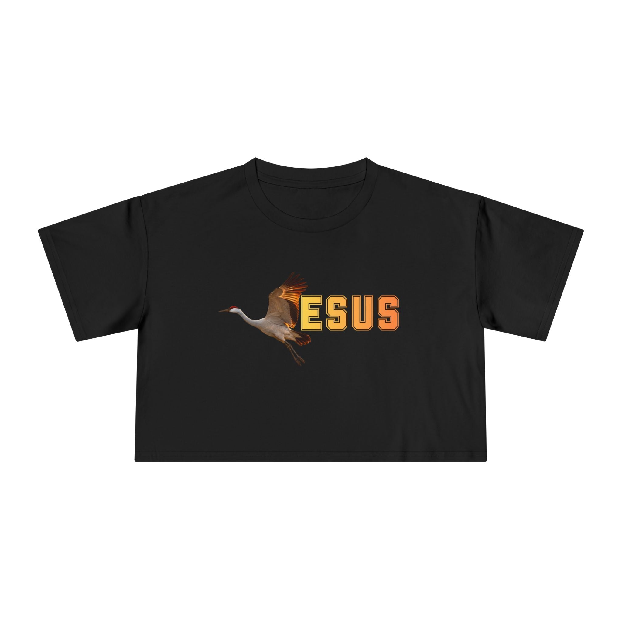 Jesus With Crane Bird, Women's Crop Tee