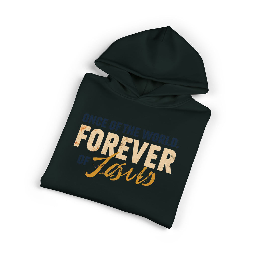 Once Of The World. Forever Of Jesus™ Relaxed Unisex Hoodie