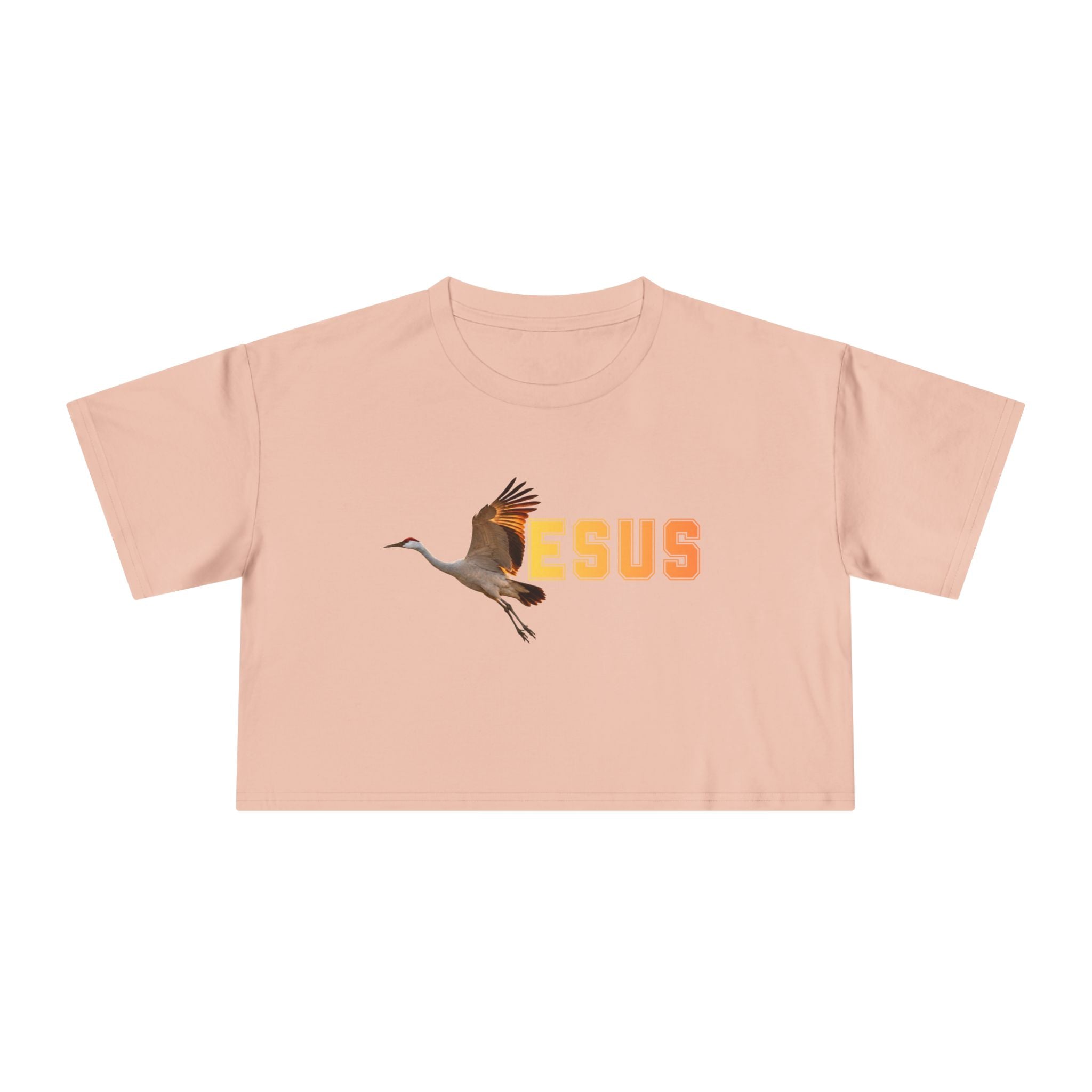 Jesus With Crane Bird, Women's Crop Tee