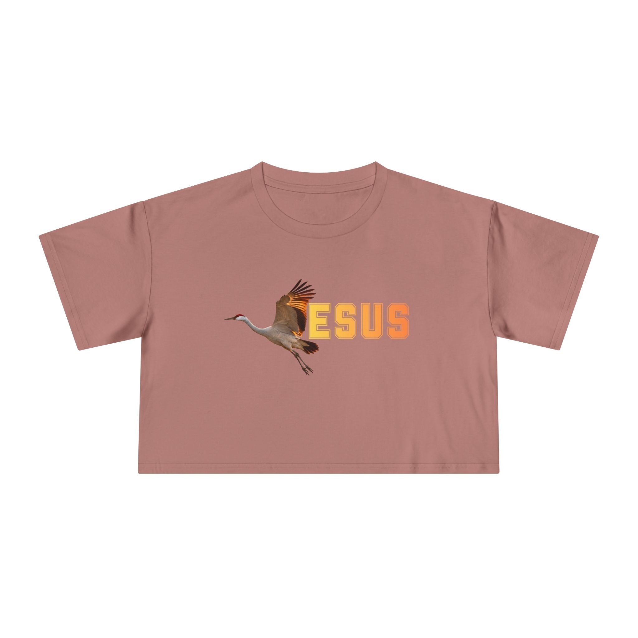 Jesus With Crane Bird, Women's Crop Tee