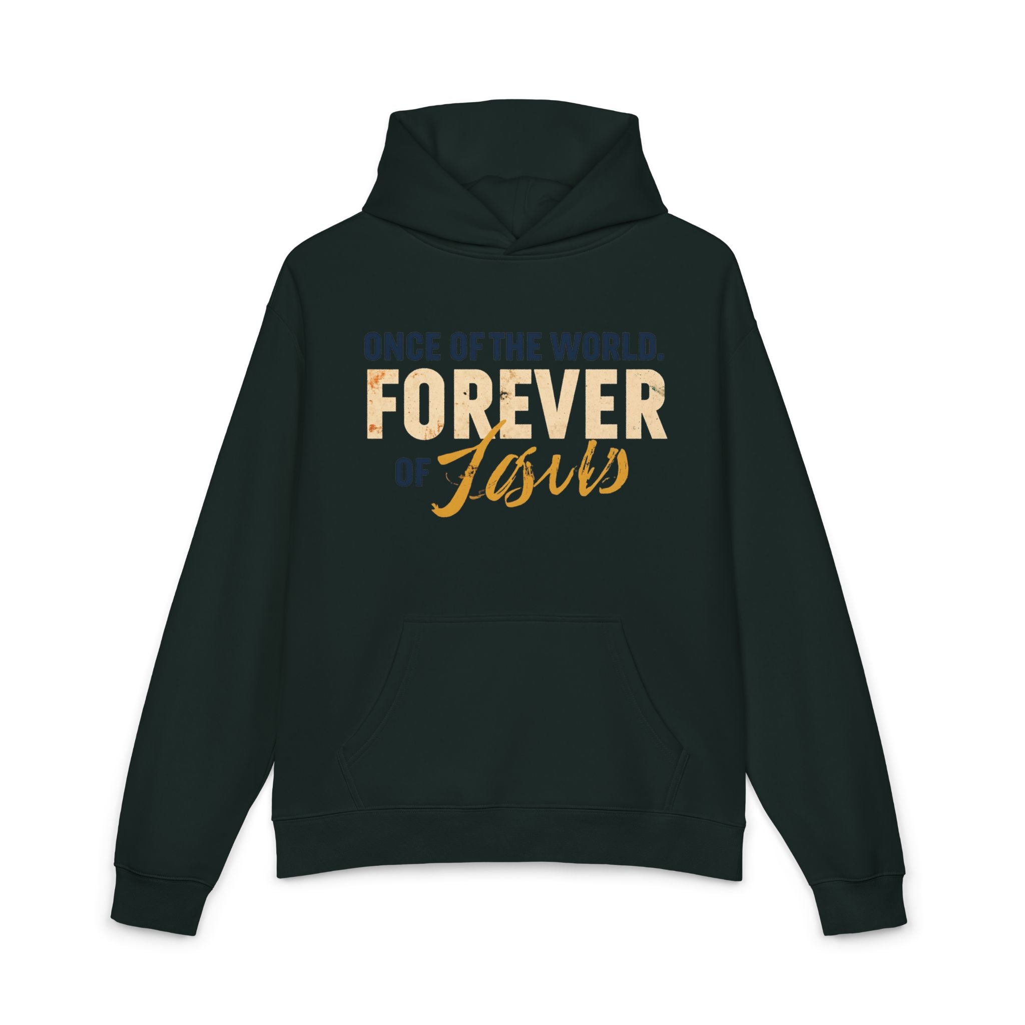 Once Of The World. Forever Of Jesus™ Relaxed Unisex Hoodie
