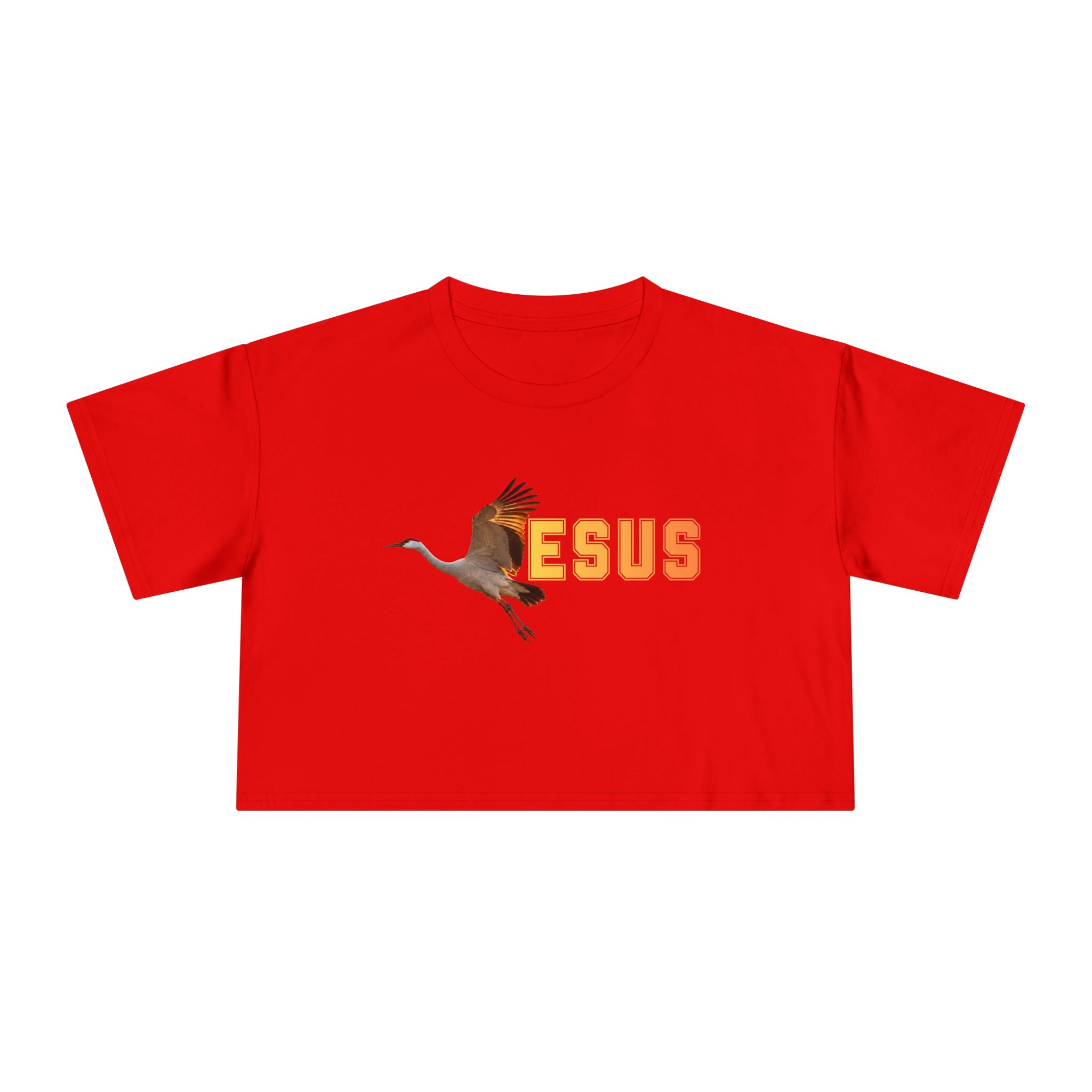 Jesus With Crane Bird, Women's Crop Tee