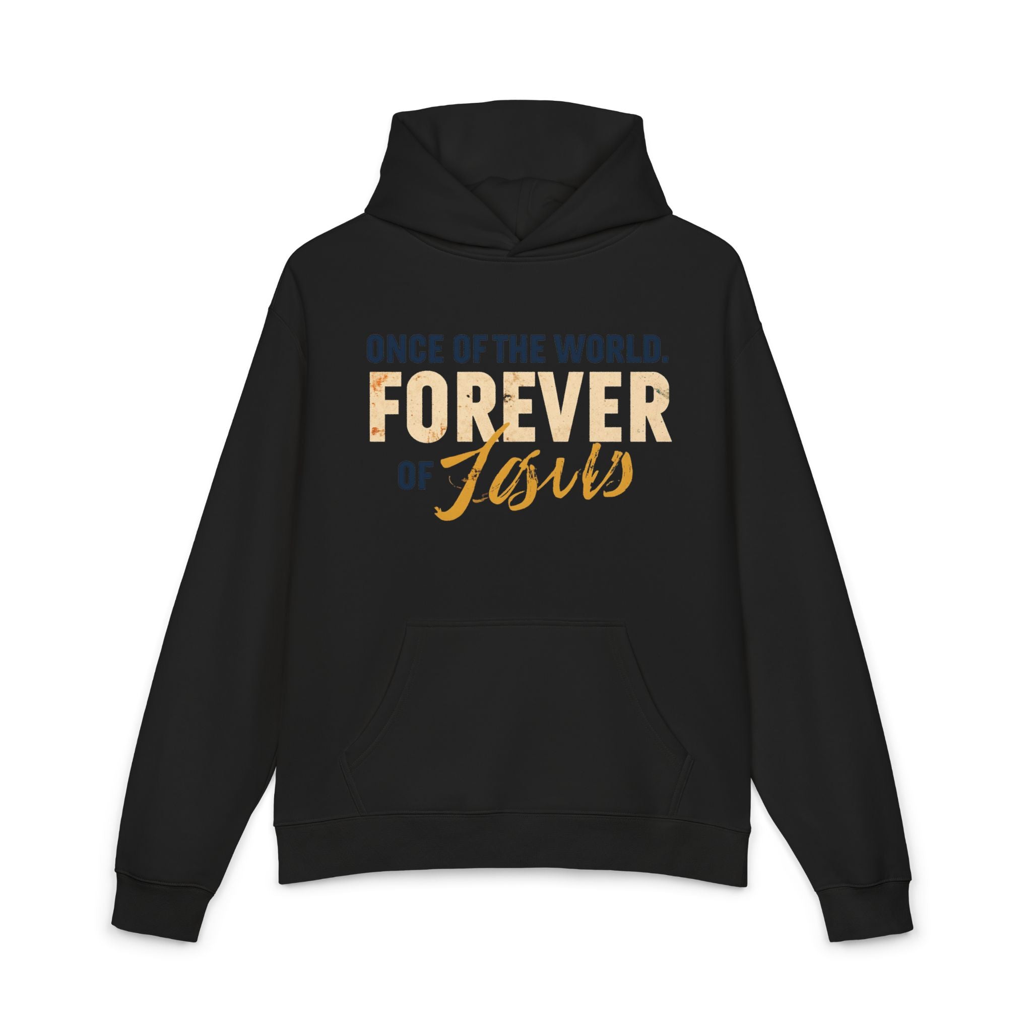 Once Of The World. Forever Of Jesus™ Relaxed Unisex Hoodie
