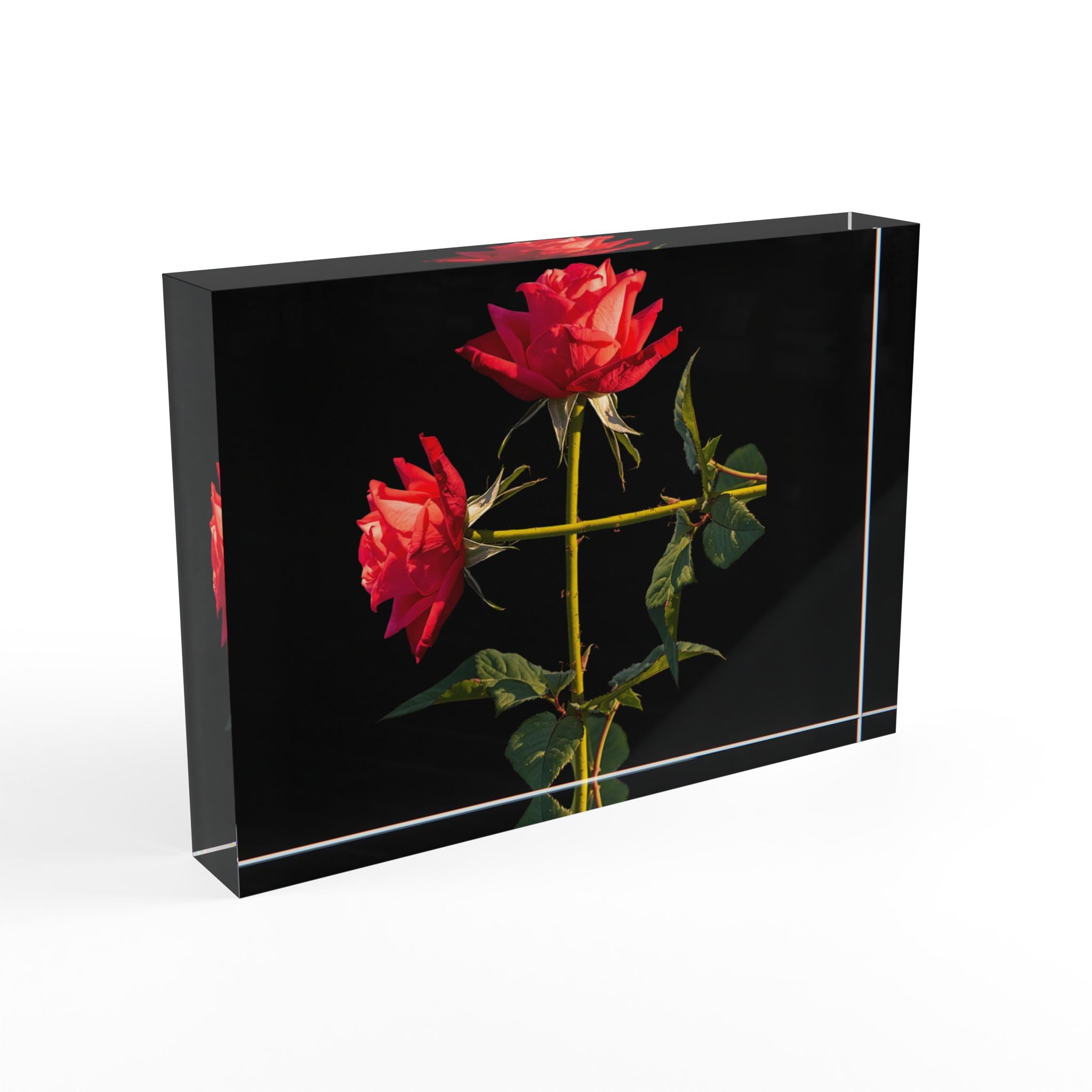 Cross Form Red Roses, Black Photo Block