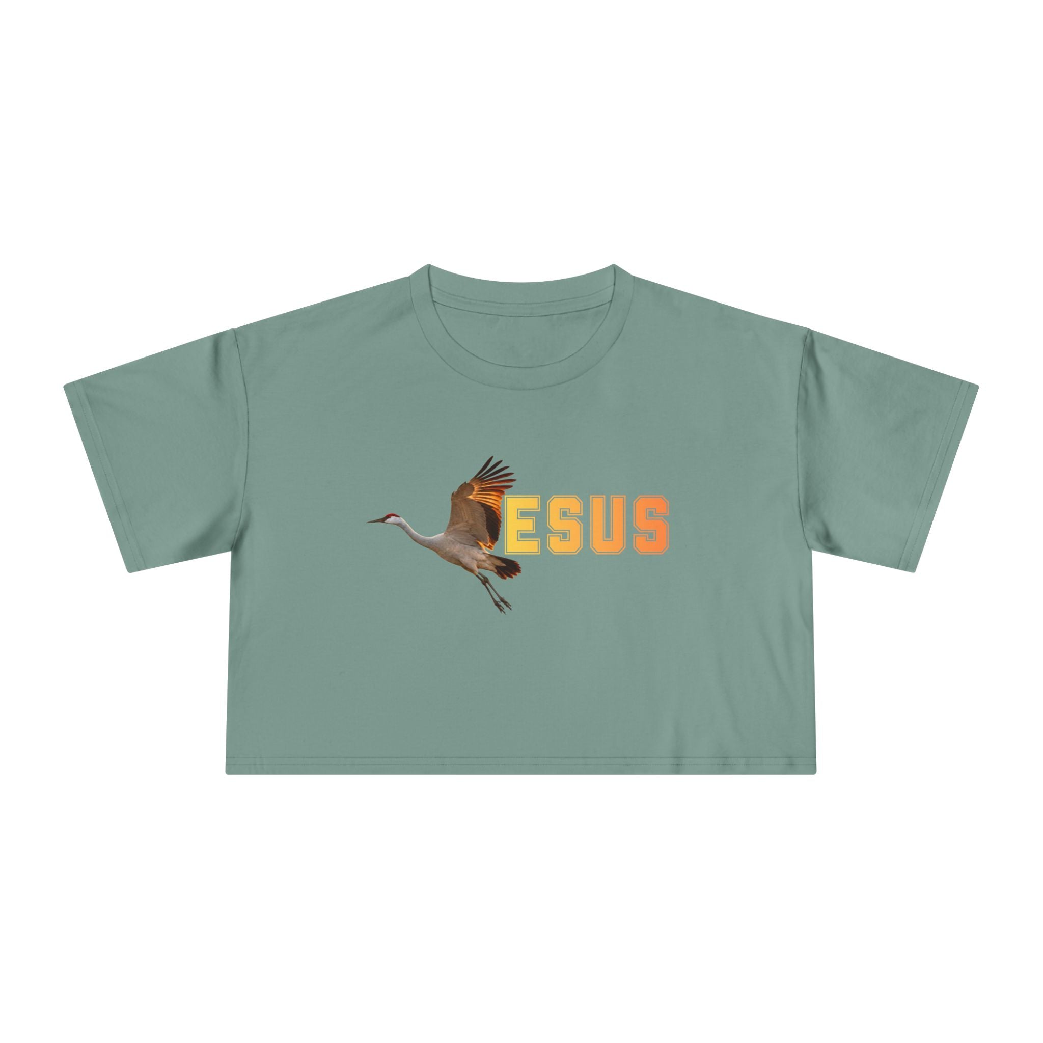 Jesus With Crane Bird, Women's Crop Tee