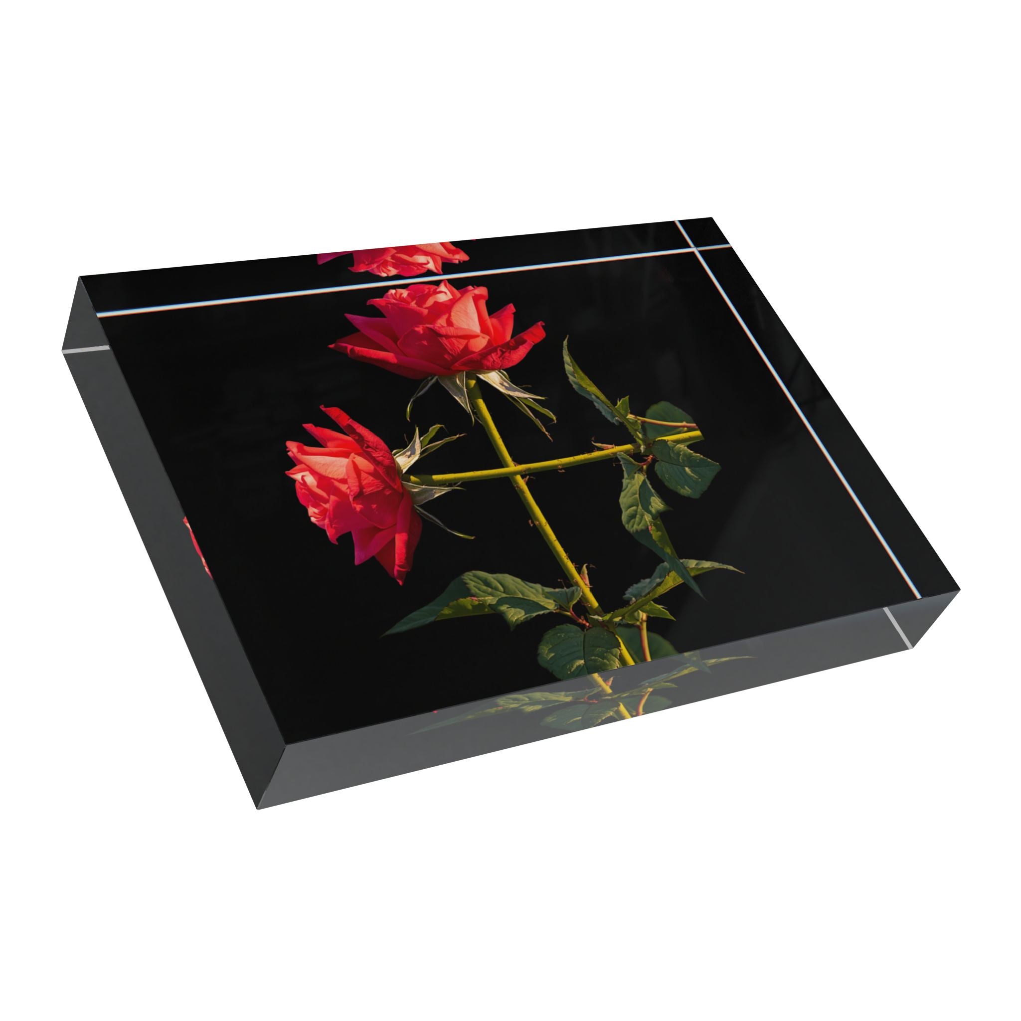 Cross Form Red Roses, Black Photo Block