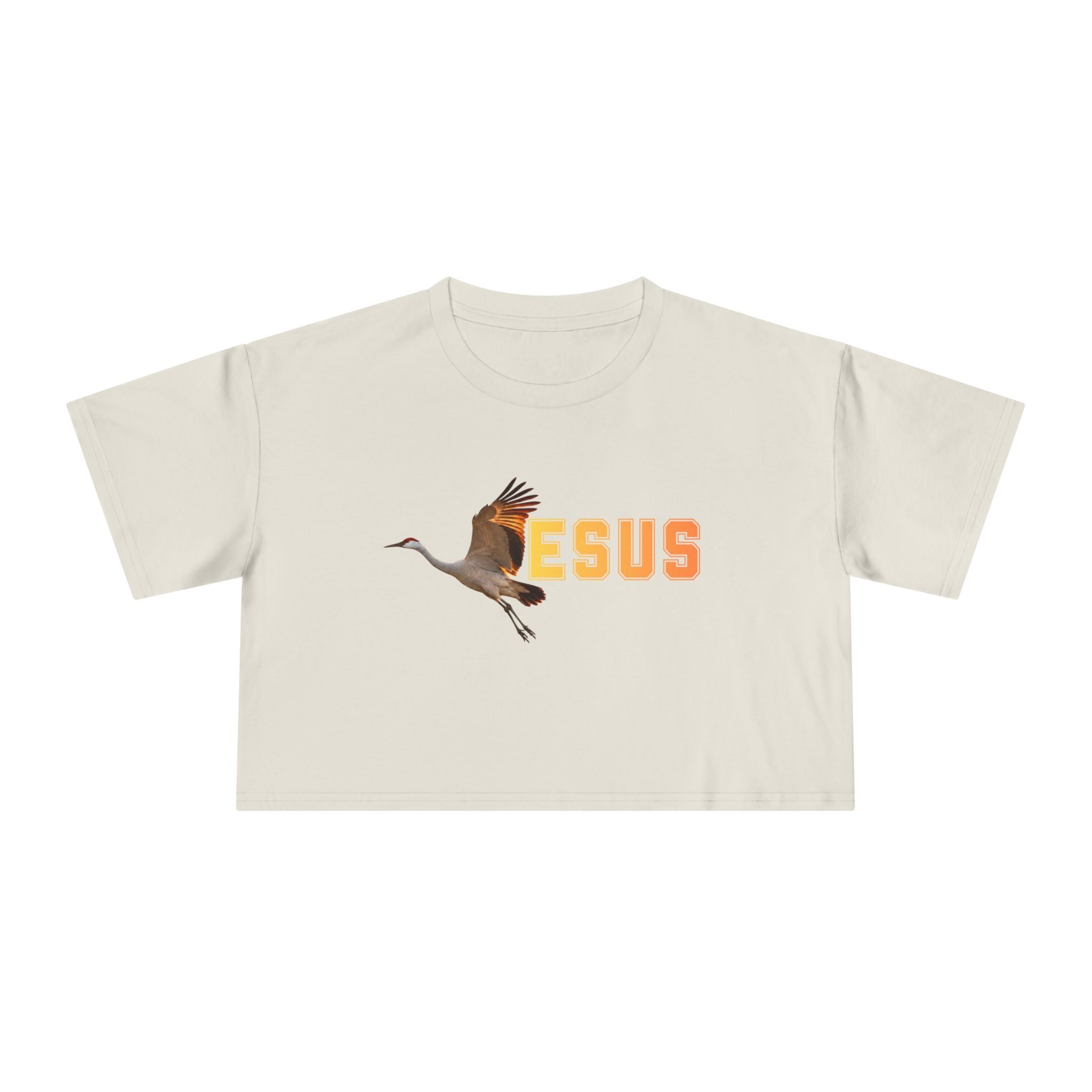 Jesus With Crane Bird, Women's Crop Tee