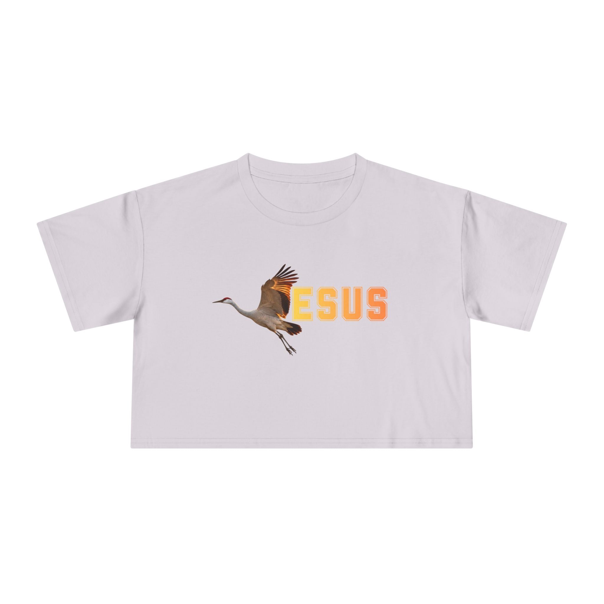Jesus With Crane Bird, Women's Crop Tee