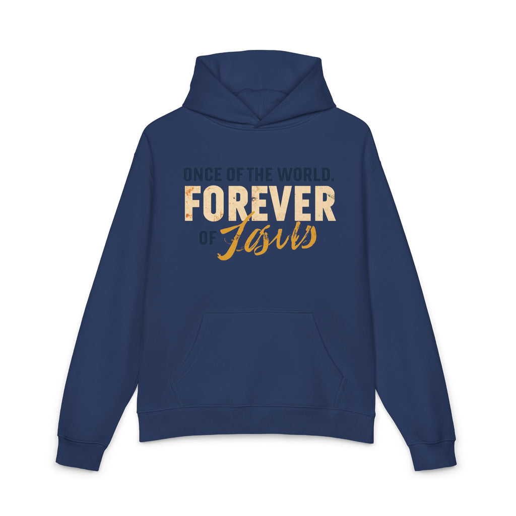 Once Of The World. Forever Of Jesus™ Relaxed Unisex Hoodie