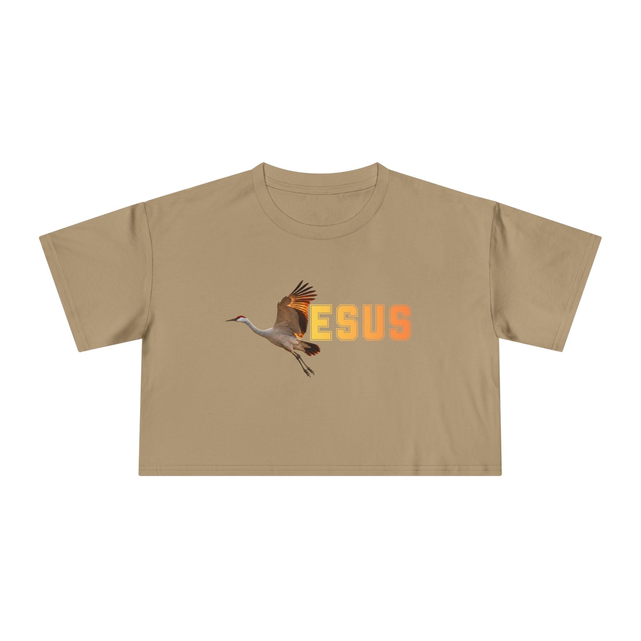Jesus With Crane Bird, Women's Crop Tee