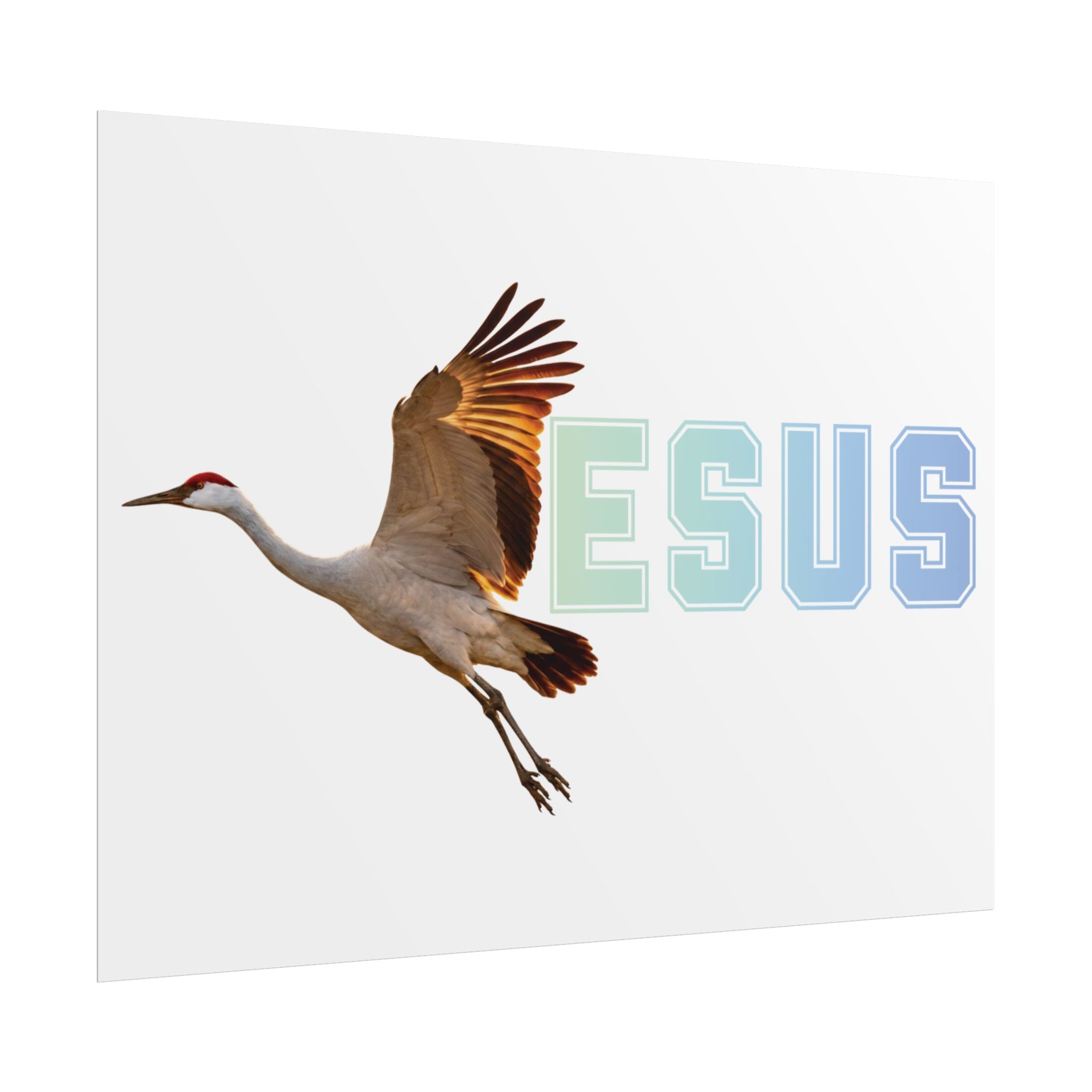 Jesus With Crane Bird, White Rolled Posters